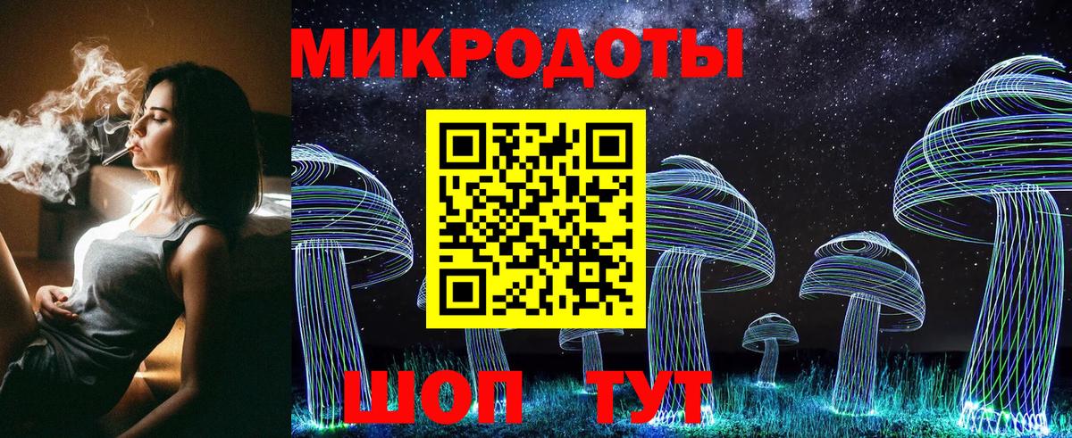 Галлюциногенные грибы Psilocybe Екатеринбург