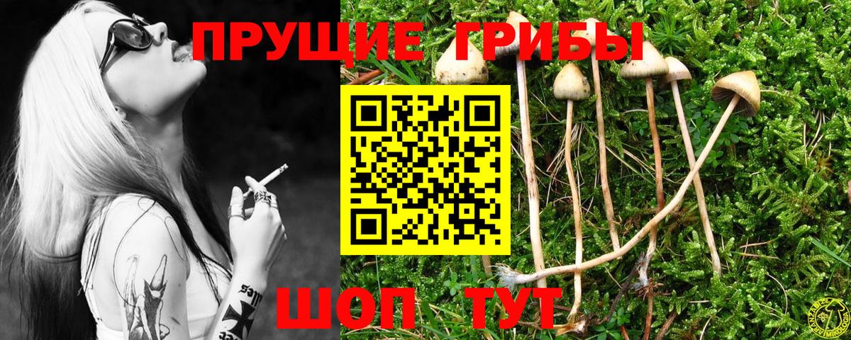 Екатеринбург  Галлюциногенные грибы мицелий  Вход с VPN 